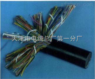 天津市电缆总厂第一分厂 专业打造矿用通信电缆，保障井下配线与用户线路稳定可靠