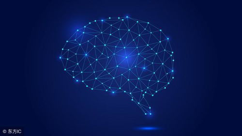 局域网 小规模网络的基础与优势